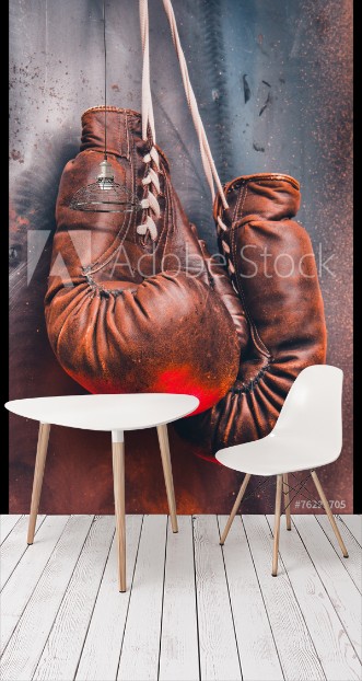 Picture of Old boxing gloves